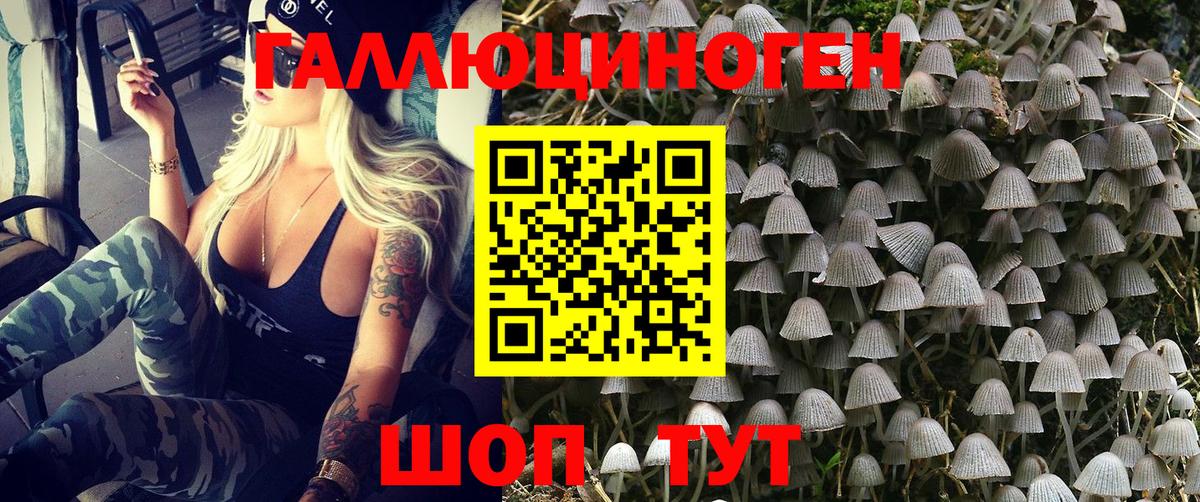 Галлюциногенные грибы GOLDEN TEACHER  Галлюциногенные грибы прущие грибы  Холмск  Вход с VPN 